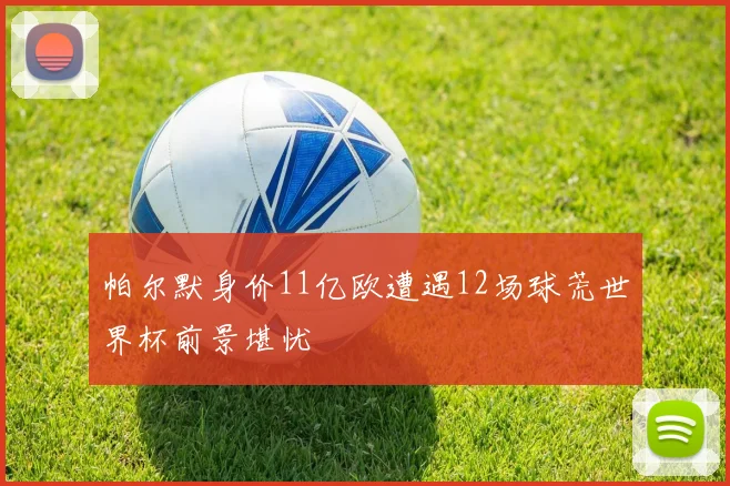 帕尔默身价11亿欧遭遇12场球荒世界杯前景堪忧