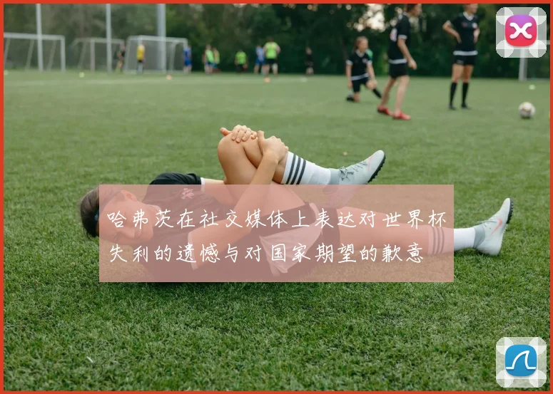 哈弗茨在社交媒体上表达对世界杯失利的遗憾与对国家期望的歉意
