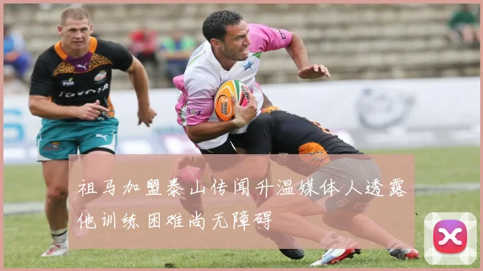 祖马加盟泰山传闻升温媒体人透露他训练困难尚无障碍