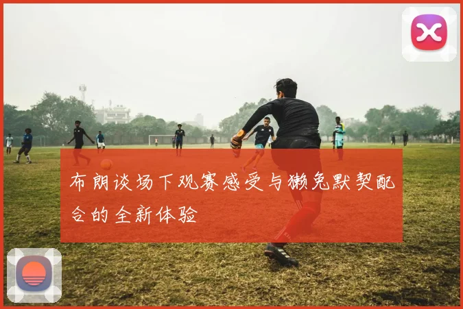 布朗谈场下观赛感受与獭兔默契配合的全新体验